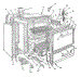 Body Section