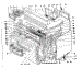Body Section