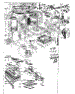 Body Section