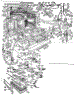 Body Section