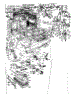 Body Section