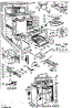 Body Section