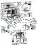 Body Section