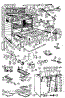 Body Section