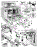 Body Section