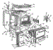 Body Section