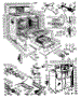 Body Section