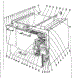 Body Section