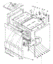 Body Section