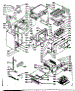 Body Section