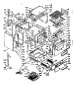 Body Section