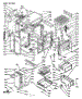 Body Section