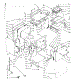 Lower Body Section
