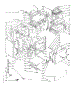 Body Section