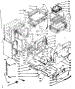 Lower Body Section