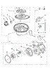Pump And Motor Parts
