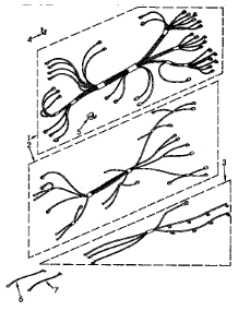 Wiring Harness Parts parts for Kenmore Range 664.4558953 (6644558953, 664 4558953) from AppliancePartsPros.com