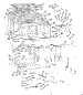 Body Section