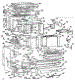 Body Section