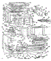 Body Section