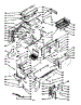Body Section