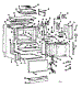 Body Section