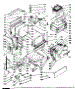Body Section