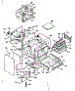 Body Section