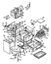 Body Section