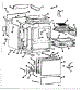Body Section