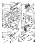 Upper Body Section
