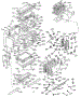Upper Body Section