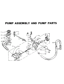 Pump Assembly And Pump Parts parts for Kenmore Washer 110.5902500 (1105902500, 110 5902500) from AppliancePartsPros.com