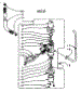 Mixing Valve Assembly - Dole