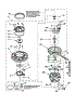 Pump And Motor