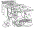 Body Section