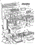 Body Section