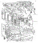 Body Section