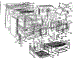 Body Section