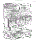 Body Section