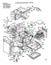 Body Section