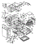Body Section