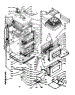 Body Section