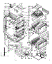Body Section