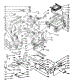 Body Section