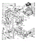 Body Section