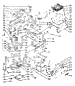 Body Section