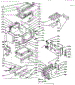 Body Section
