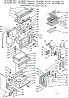 Body Section