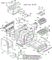 Lower Body Section